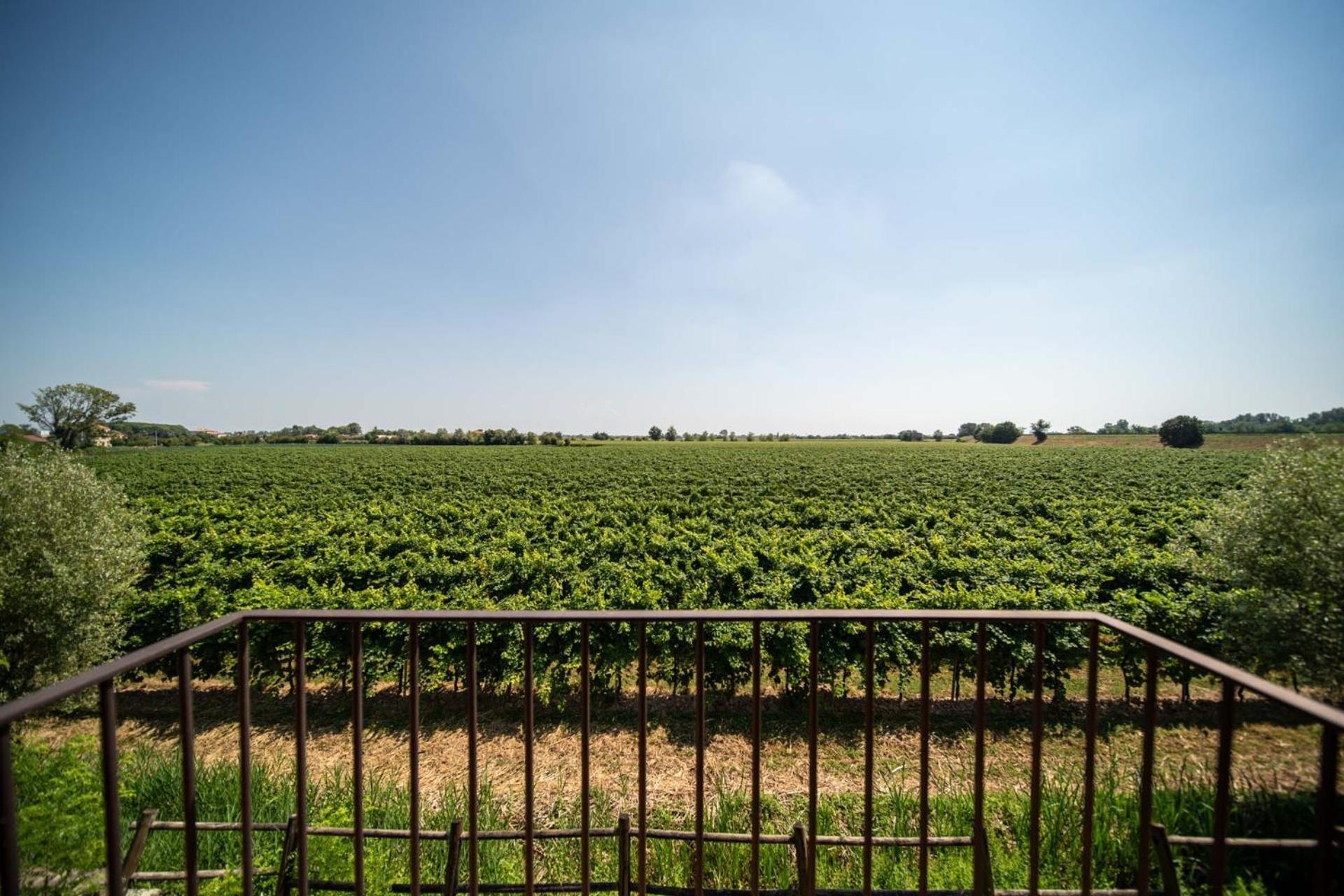 Hotel Borgo Ronchetto Relais&Gourmet Salgareda Esterno foto